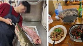 成大,成大釣魚社,成功大學釣魚社,社團,帳號,鱷雀鱔,吉祥物,外來種,爭議,228公園。（圖／翻攝自臉書）