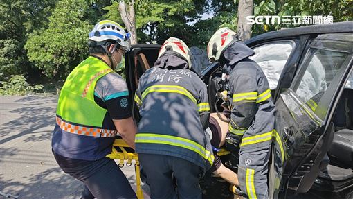 魂斷木棉花道！男開車撞樹…額頭破洞慘死