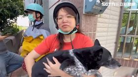 陳美琪,懸賞,雲林,飼主,感謝文,米克斯,愛犬（圖／翻攝畫面）