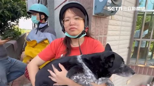 懸賞50萬找美琪遭抹黑！飼主485字曝心聲