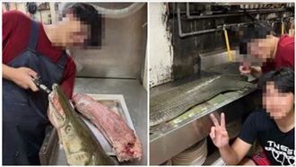 成大創始社長「殺公園老魚吃了」：拚流量