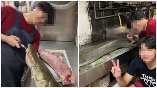 成大創始社長「殺公園老魚吃了」：拚流量