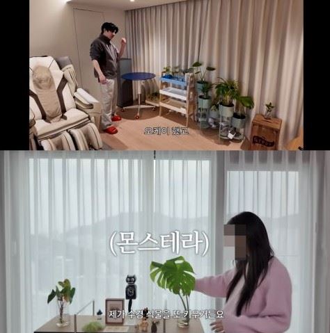 網友也比對兩人過去公開的居家擺設與植物裝潢,發現風格相當接近。(圖/翻攝自韓網)