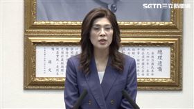 鄭麗文國民黨中常會發表談話（圖／翻攝畫面）