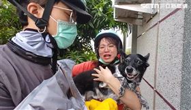 二崙，米克斯犬，陳美琪，懸賞獎金，50萬，飼主曝:太多電話騷擾，鄰居家，納涼，拾獲阿伯(圖／翻攝畫面)