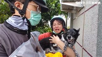 找到美琪「50萬獎金」何時發？飼主曝進度