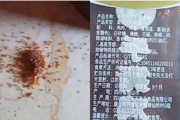 中國肉乾掉地超驚悚!螞蟻爭食後竟全死光