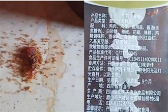 中國肉乾掉地超驚悚！螞蟻爭食後竟全死光