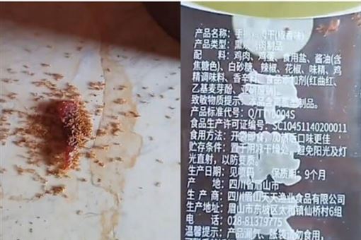 中國肉乾掉地超驚悚！螞蟻爭食後竟全死光