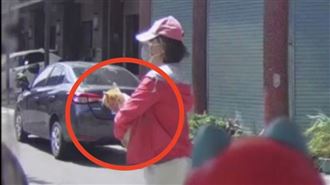 台中雞蛋糕店貓被抱走！偷貓女正面照曝光