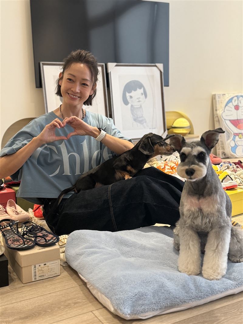 本來財富自由的潘慧如,為了寵物旅館「人生歸零」。(圖/記者宋亭誼攝影)