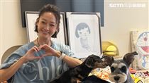 潘慧如轉手4房產賺翻　南下租屋原因曝光