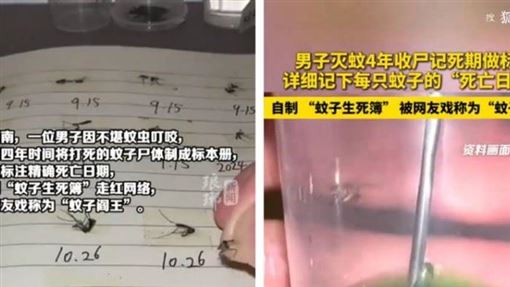 夏天怨念爆表！男子做蚊子標本冊爆紅