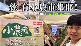 網紅在IG開箱大全聯小農市集活動。（圖／翻攝畫面）