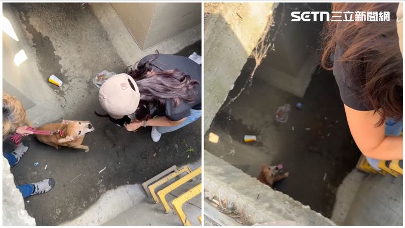 神明自賺20萬香油錢!助「阿妹」平安回家