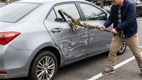 台南,車門,陸軍,車主,樹枝,仇家,細故,新訓,轎車,副駕駛座,板金。（示意圖／AI生成）