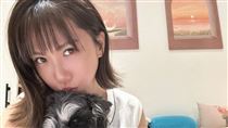 愛犬竟掃出除戶晶片！大牙氣炸揭悲慘身世