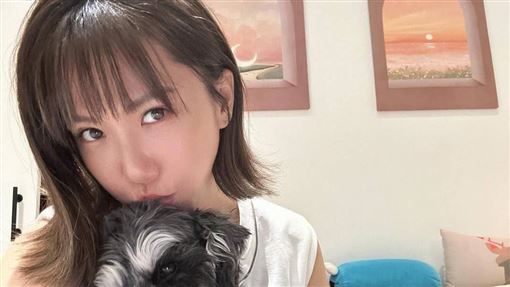愛犬竟掃出除戶晶片！大牙氣炸揭悲慘身世