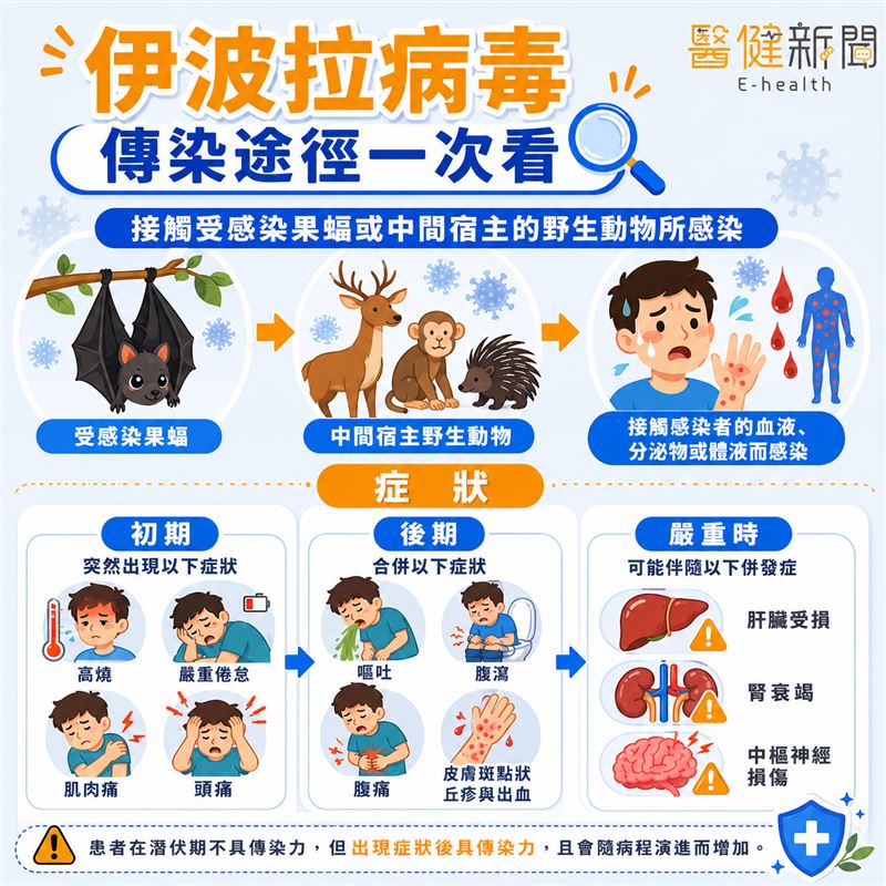 伊波拉疫情延燒！疾管署提升旅遊警示至第3級，何謂伊波拉病毒？如何預防？一次解析！（圖／醫健新聞網提供）