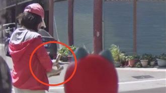 雞蛋糕「人氣店貓」遭擄！偷貓女動機曝光