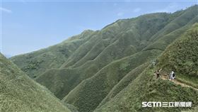 宜蘭礁溪的打卡熱點「抹茶山」將封山，由於聯外山路邊坡崩塌、路面嚴重龜裂，預計封閉施工至11 月。（資料照／羅東林管處提供）