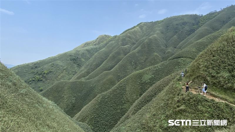 山友傻眼!宜蘭抹茶山驚傳「封山禁入」
