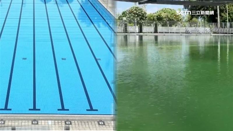 與先前清澈泳池對比,逢甲大學泳池竟變「綠水」