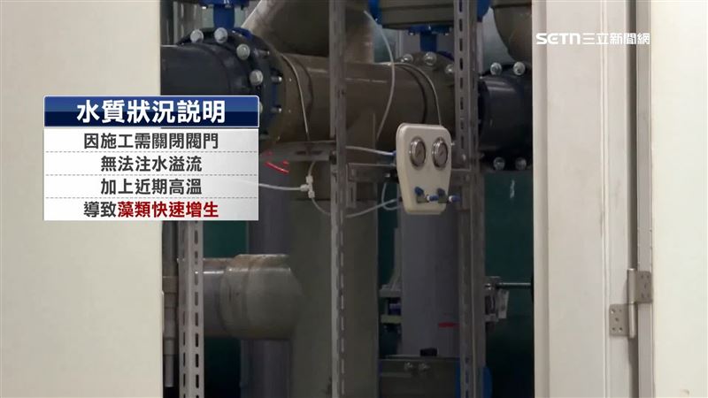 校方表示,變綠原因是施工關閉閥門沒有辦法注入新的水,加上高溫導致藻類快速增生,泳池整修要到6月才能完工