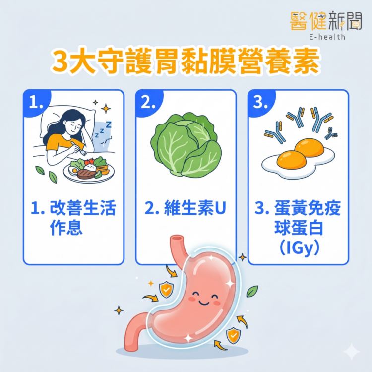 營養師的護胃指南：3大守護胃黏膜營養素！（圖／醫健新聞網提供）
