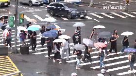 薔蜜轉中颱1200