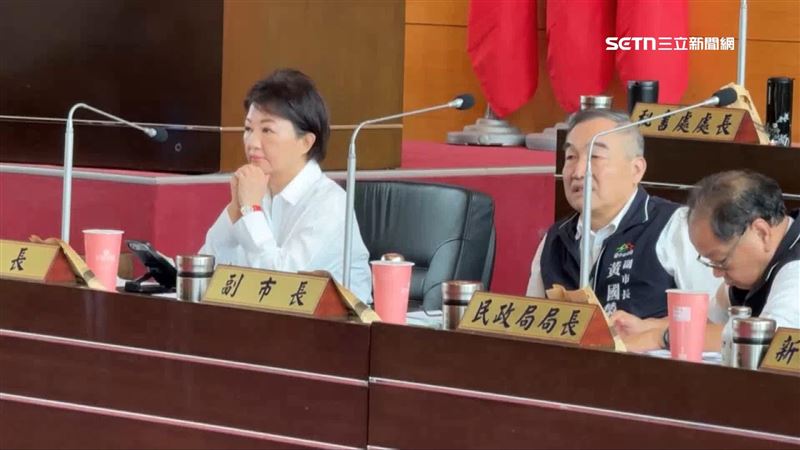 民進黨團譴責盧秀燕角色錯亂