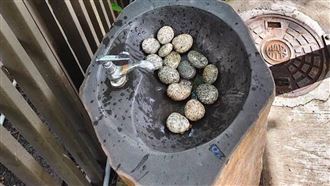 洗手台見滿滿石頭？內行人揭3大實際用途