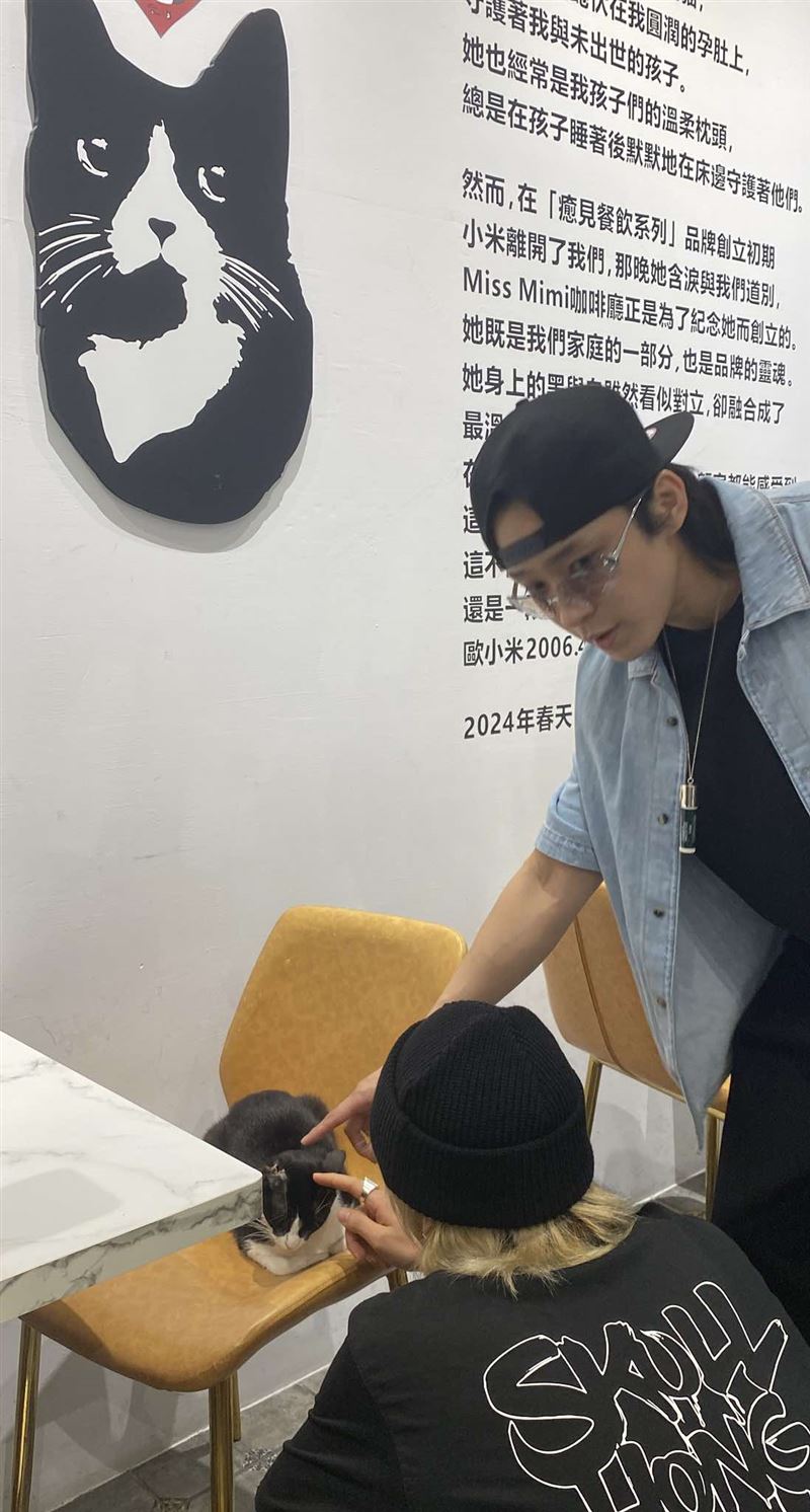 兩人在咖啡廳逗貓。(圖/Miss Mimi Coffee授權提供)