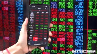 護國群山發力！台股前10強ETF曝 0050慘敗