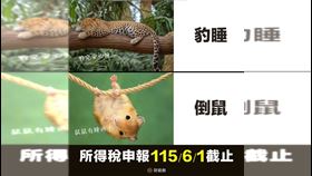 今天最後一天！綜合所得稅申報今日截止　臨櫃中午不休息延長到七點（圖／財政部提供） 