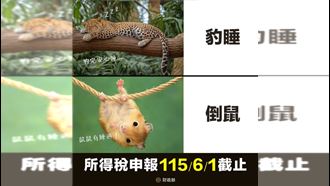 國稅局今天開到七點！沒報稅快看這
