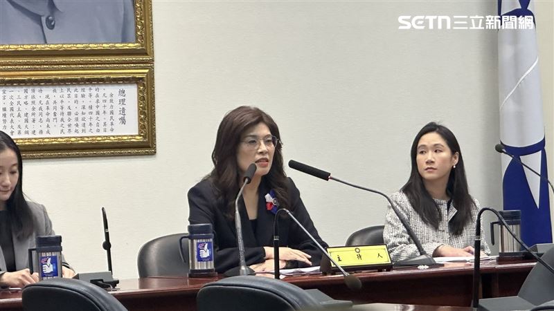 鄭麗文指出，希望在這次訪美，能深化對於兩岸和平、區域和平穩定的願望（圖／記者詹宜庭攝影）