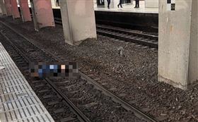 台北車站驚傳落軌！40歲男「疑身體不適」突摔落月台　倒臥鐵軌上（圖／翻攝畫面）