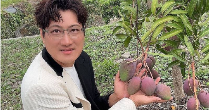 楊哲曾為江蕙的歌曲填詞,因副業被稱為芒果王。(圖/翻攝自楊哲臉書)