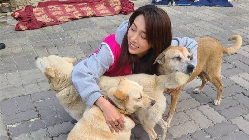 前女團成員養8隻流浪動物 突宣布新喜訊