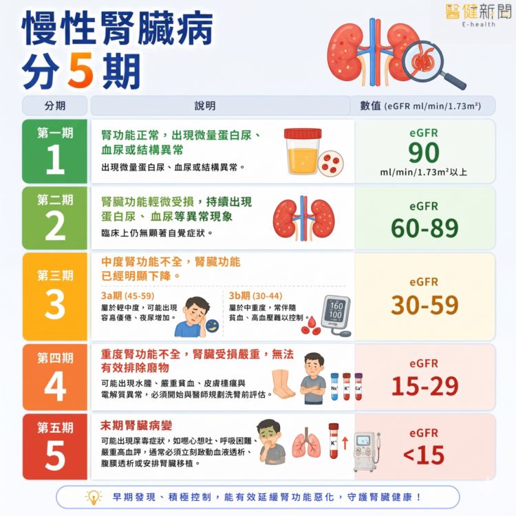教你看懂腎功能指標，慢性腎臟病分五期。（圖／醫健新聞網提供）