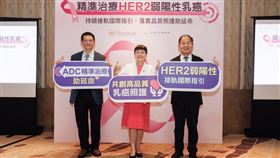 義大癌治療醫院血液腫瘤部,台灣乳房醫學會,腫瘤,弱陽性,乳癌
