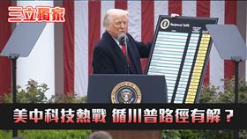 台灣AI成泡影　政府可循川普路徑行動？燈火闌珊處　AI繁華下的台灣現況（圖／翻攝自X@WHITE HOUSE、三立新聞網製圖） 