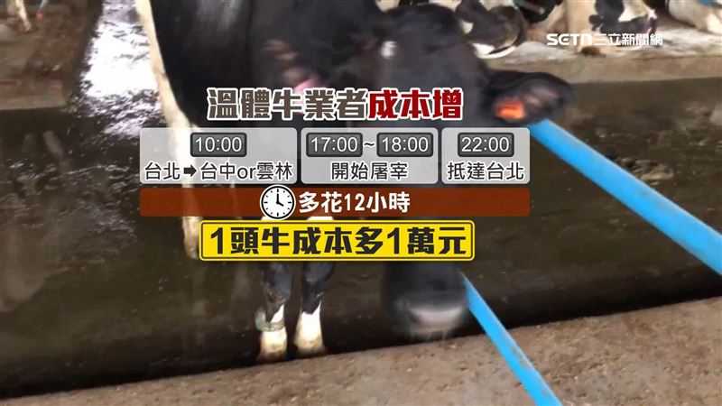 一頭牛成本整整多了一萬元