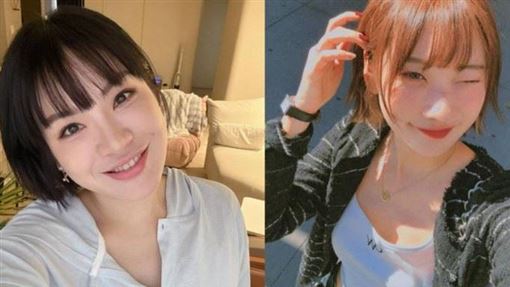 愛莉莎莎課程爭議延燒　陳沂一句話揭人性