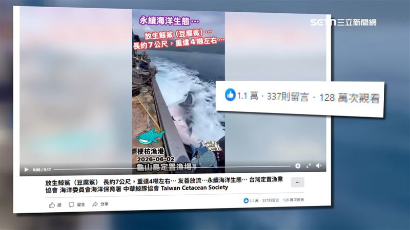 漁民將豆腐鯊放生，影片一PO網吸引超過一百萬人次觀看