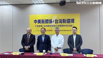親藍民調：「一邊一國」贏過「憲法一中」