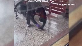 徒手猛抓蛇1800