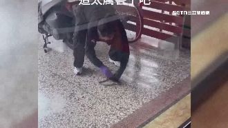 飲料店員兼抓蛇高手　目擊民眾喊該加薪