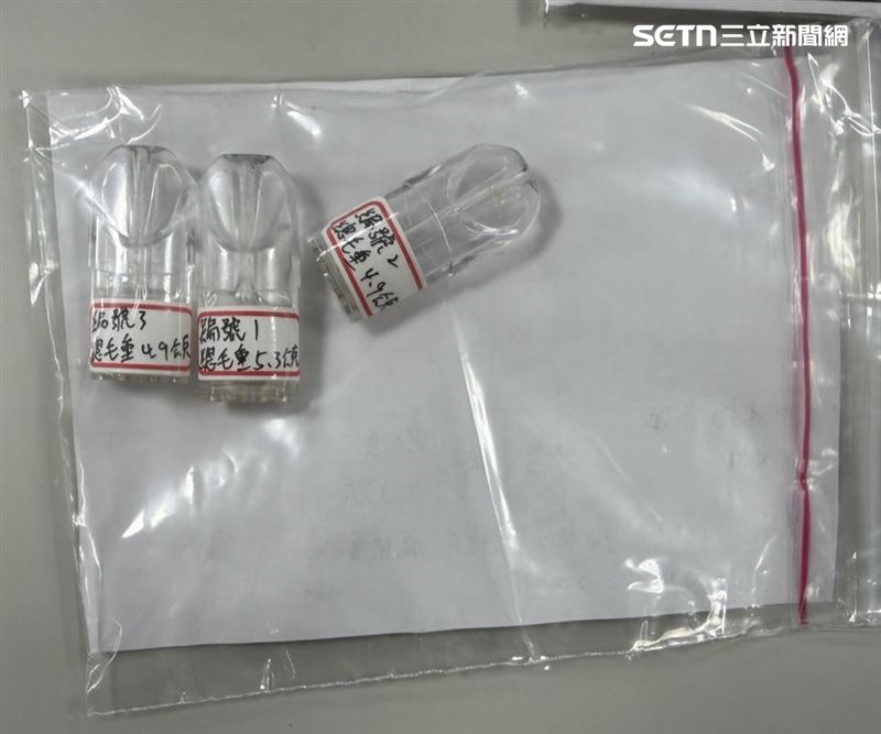 新北徐男駕車違停遭盤查逃逸被逮回，車內被搜出喪屍煙彈及K他命。（圖／翻攝畫面）